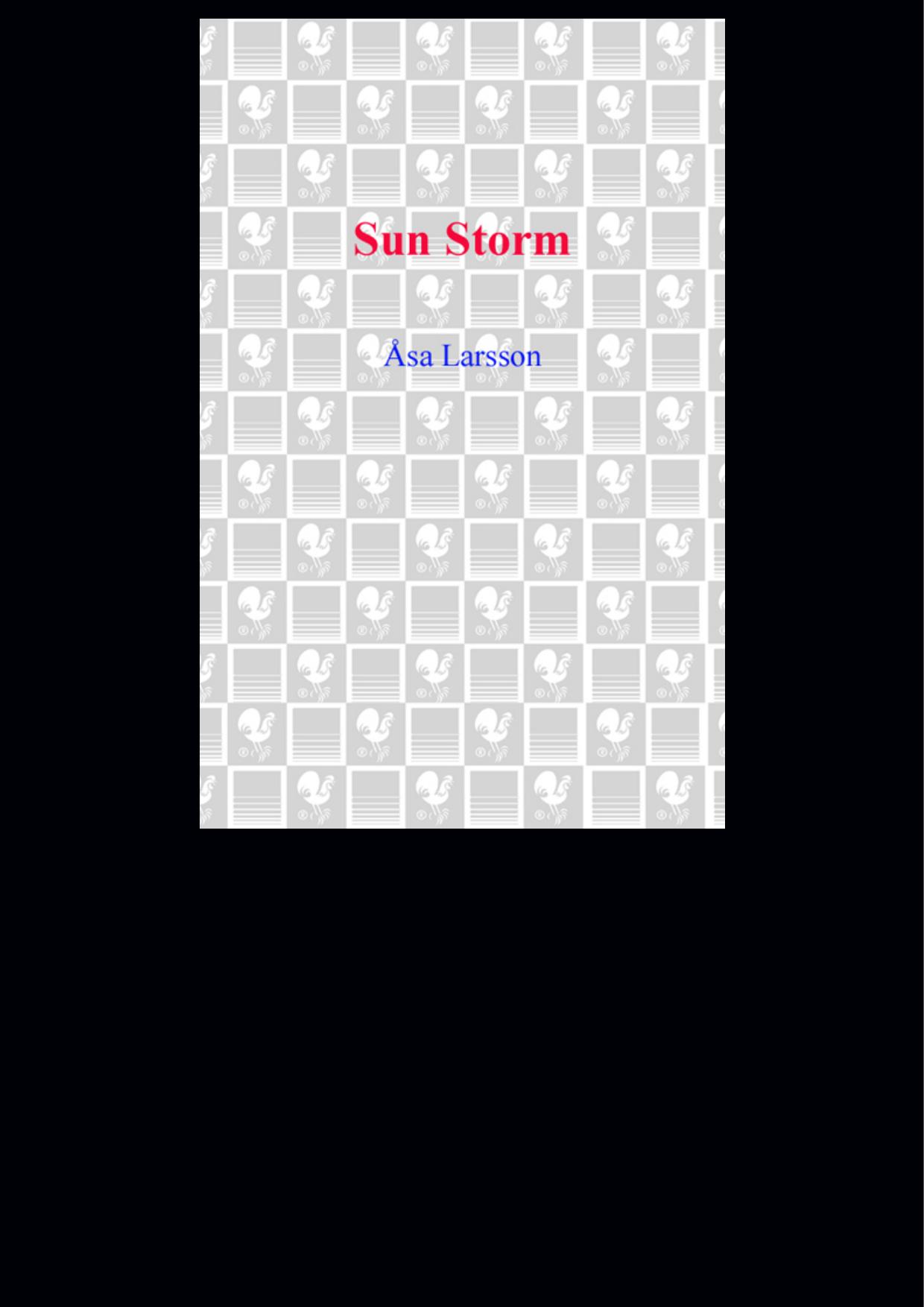 Sun Storm