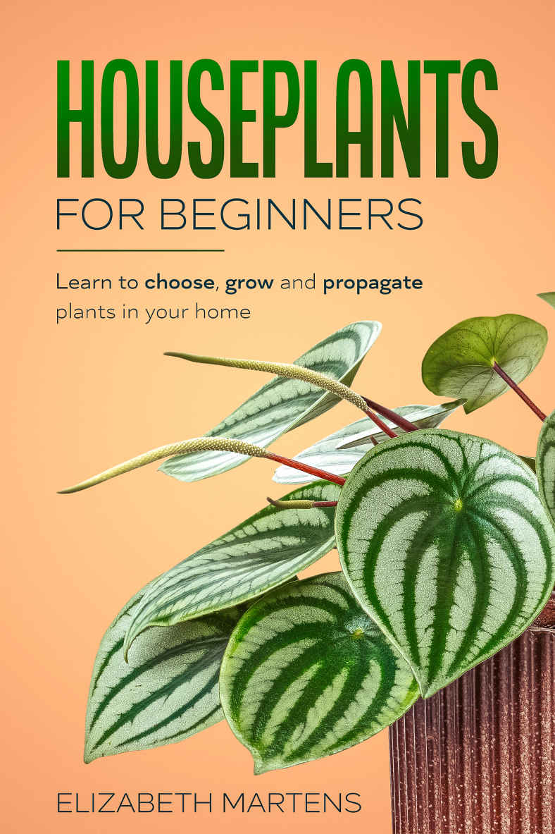 Houseplants for Beginners: Learn to Choose, Grow and Propagate Plants in Your Home